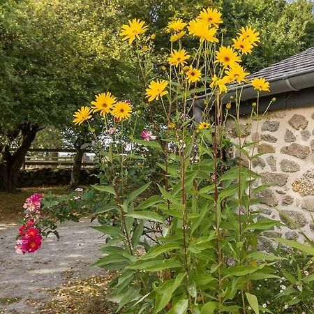 Gîte Mesquer, 4 pièces, 5 personnes - FR-1-306-1068 Extérieur photo